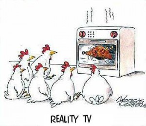 Reality TV cartoon - a chicken's perspective.